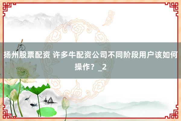 扬州股票配资 许多牛配资公司不同阶段用户该如何操作？_2
