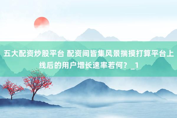 五大配资炒股平台 配资间皆集风景揣摸打算平台上线后的用户增长速率若何？_1