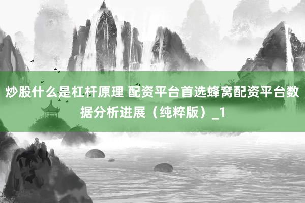 炒股什么是杠杆原理 配资平台首选蜂窝配资平台数据分析进展（纯粹版）_1